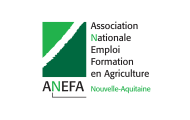 ANEFA