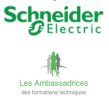 scheider